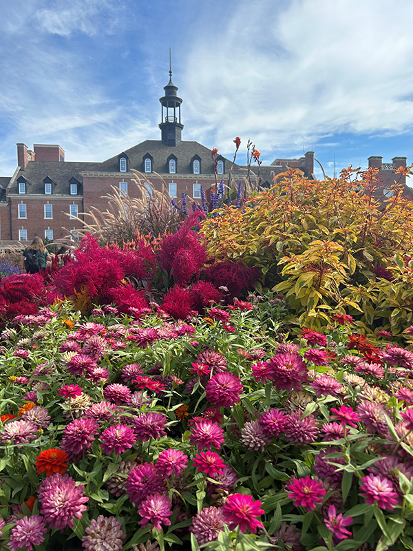 union-flowers.png union-flowers